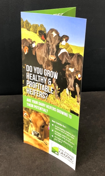 Brochure & Flyer for NZ Grazing