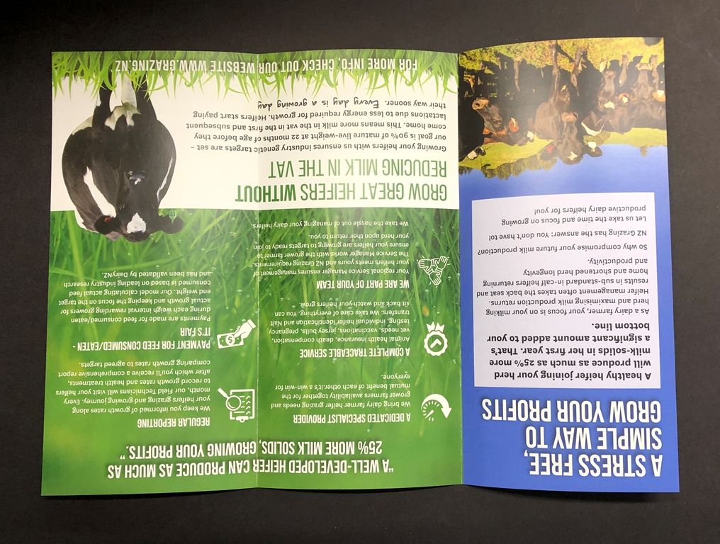 Brochure & Flyer for NZ Grazing