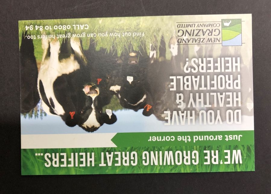 Brochure & Flyer for NZ Grazing