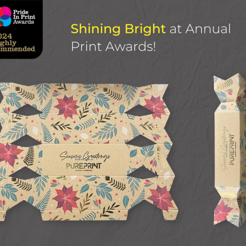 Shining Bright at Annual Print Awards!